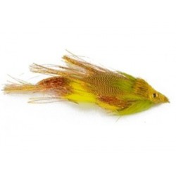 Drunk Disorderly Firetiger