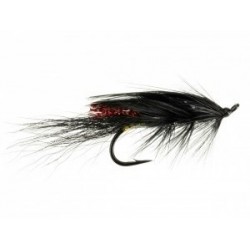 General Practitioner Black