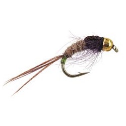 Ales TG Green Tailed Friend