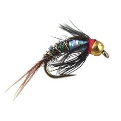 Ales TG Rainbow Pheasant
