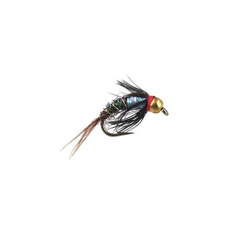 Ales TG Rainbow Pheasant