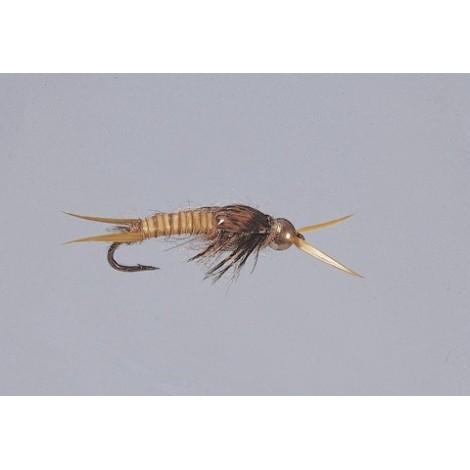 Golden Epoxyback Stone  TNG WTD