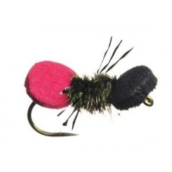 Steves Cow Killer Ant