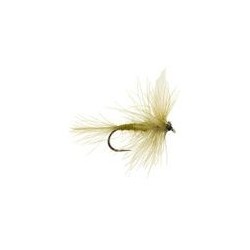 CDC BWO Dry