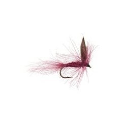 CDC Claret Winged Dry