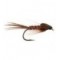 Pheasant Tail